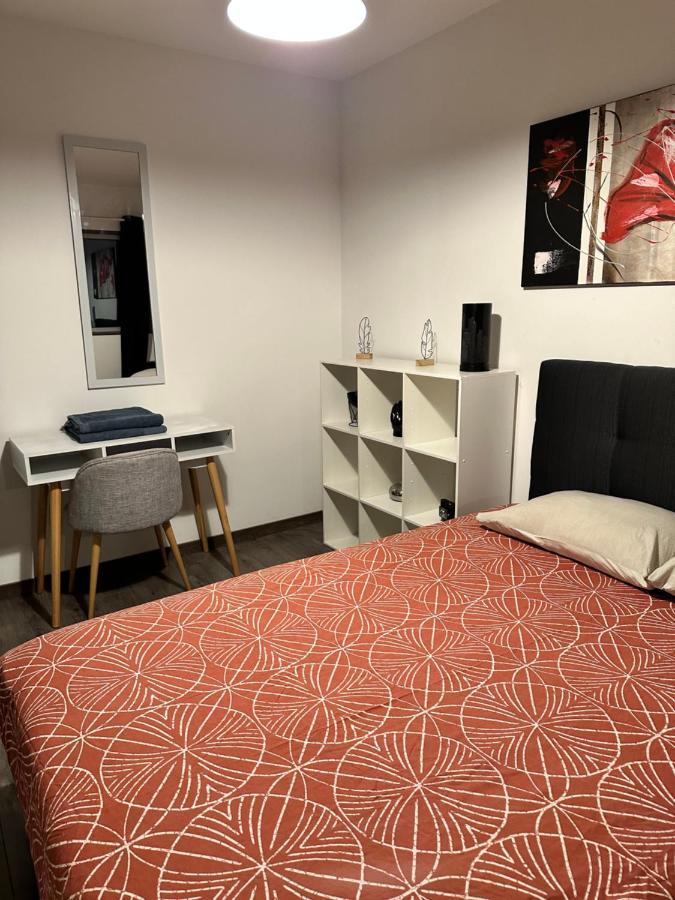 Magnifique Loft - Hyper Centre Daire Annemasse Dış mekan fotoğraf